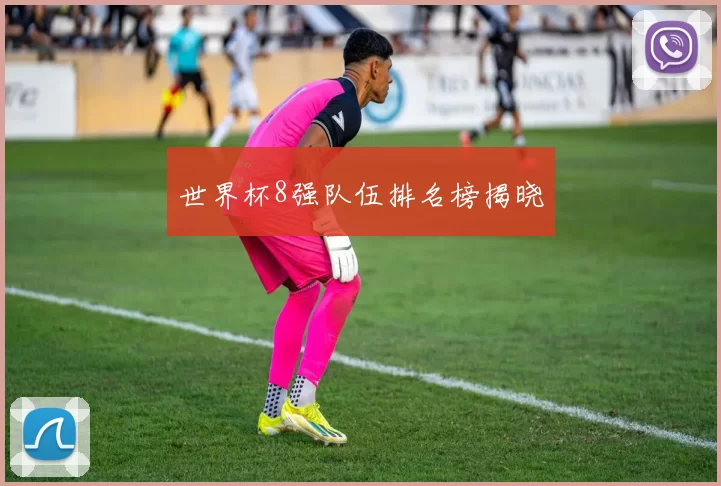 世界杯8强队伍排名榜揭晓