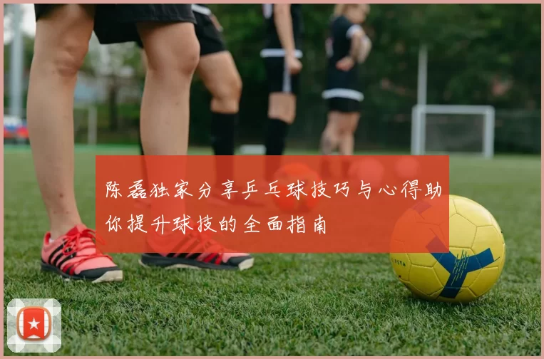 陈磊独家分享乒乓球技巧与心得助你提升球技的全面指南