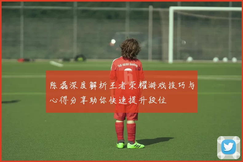 陈磊深度解析王者荣耀游戏技巧与心得分享助你快速提升段位