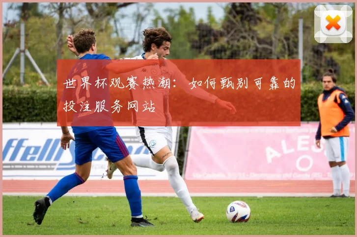 世界杯观赛热潮:如何甄别可靠的投注服务网站