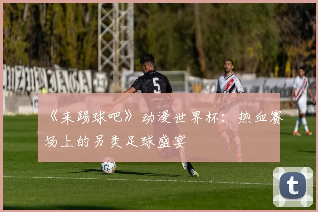 《来踢球吧》动漫世界杯：热血赛场上的另类足球盛宴