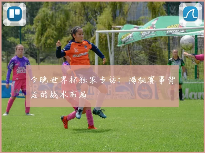 今晚世界杯独家专访：揭秘赛事背后的战术布局