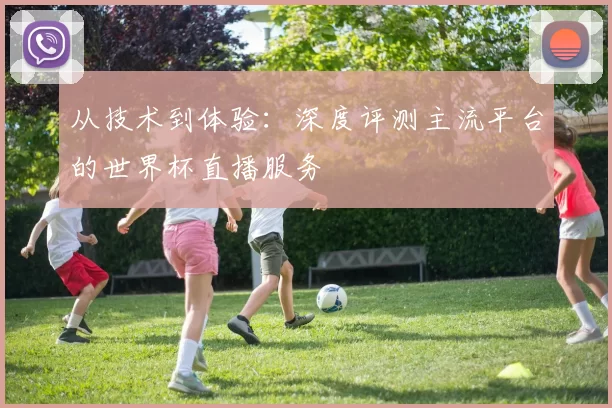 从技术到体验：深度评测主流平台的世界杯直播服务