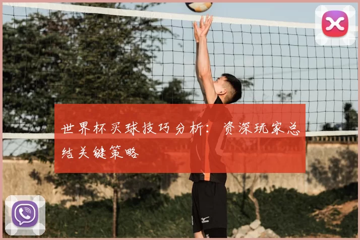 世界杯买球技巧分析：资深玩家总结关键策略