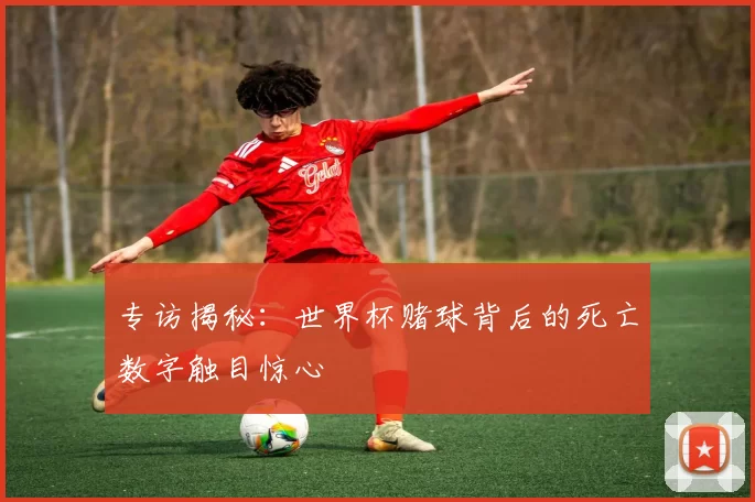 专访揭秘：世界杯赌球背后的死亡数字触目惊心