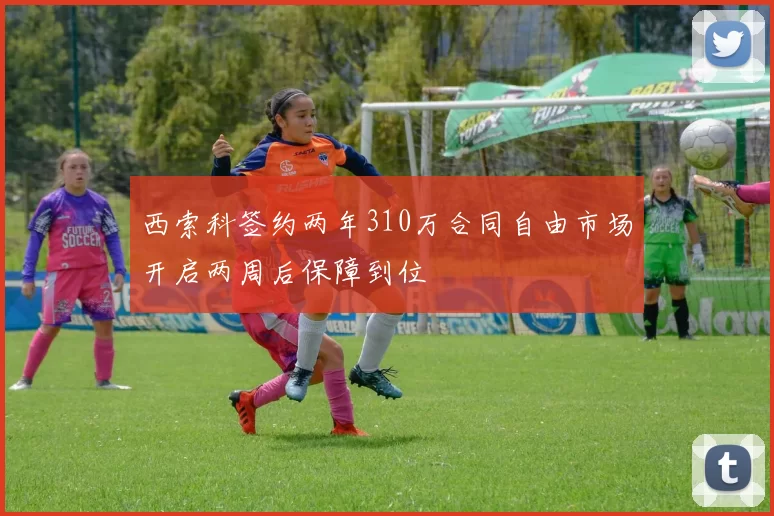 西索科签约两年310万合同自由市场开启两周后保障到位