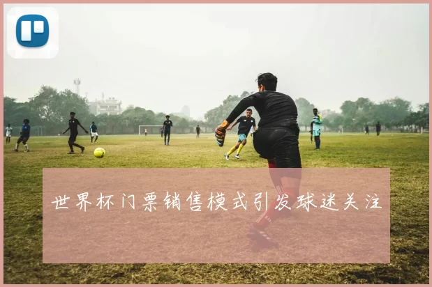 世界杯门票销售模式引发球迷关注