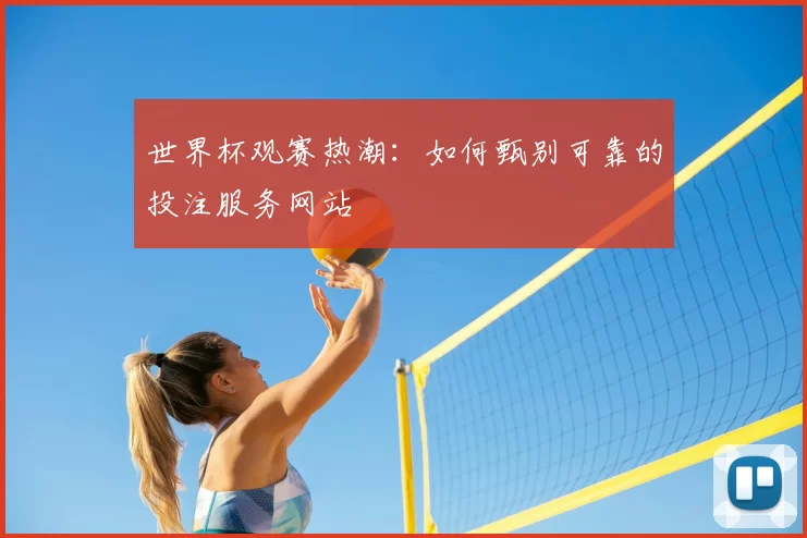 世界杯观赛热潮：如何甄别可靠的投注服务网站