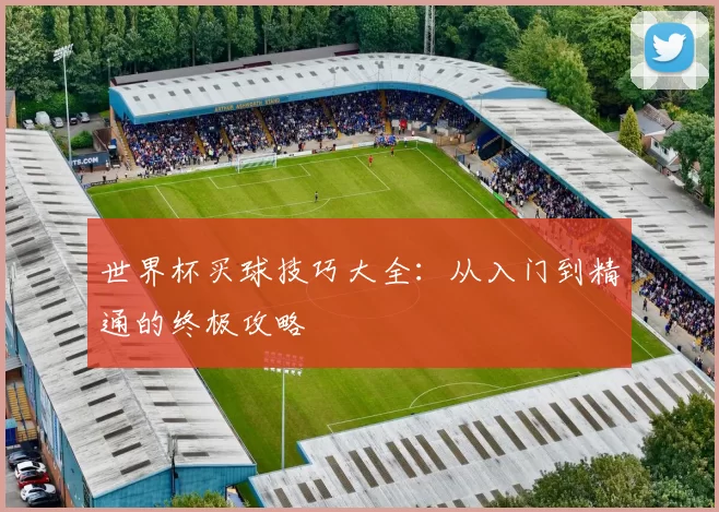世界杯买球技巧大全：从入门到精通的终极攻略