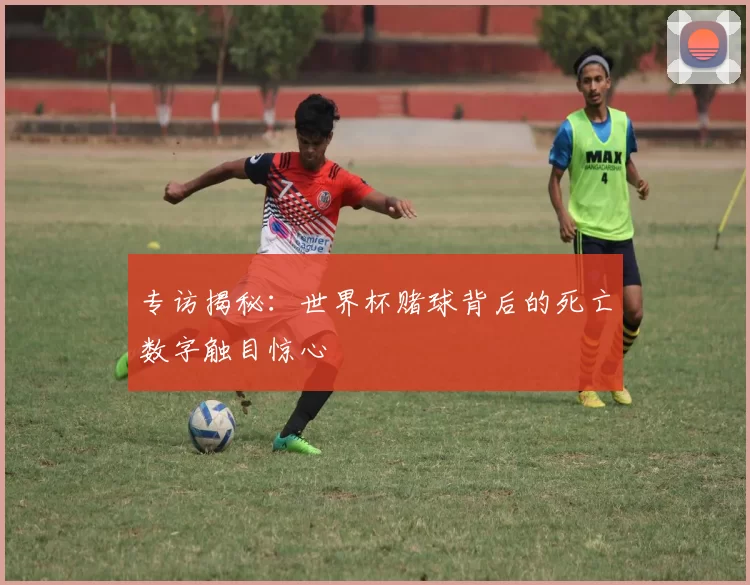 专访揭秘：世界杯赌球背后的死亡数字触目惊心