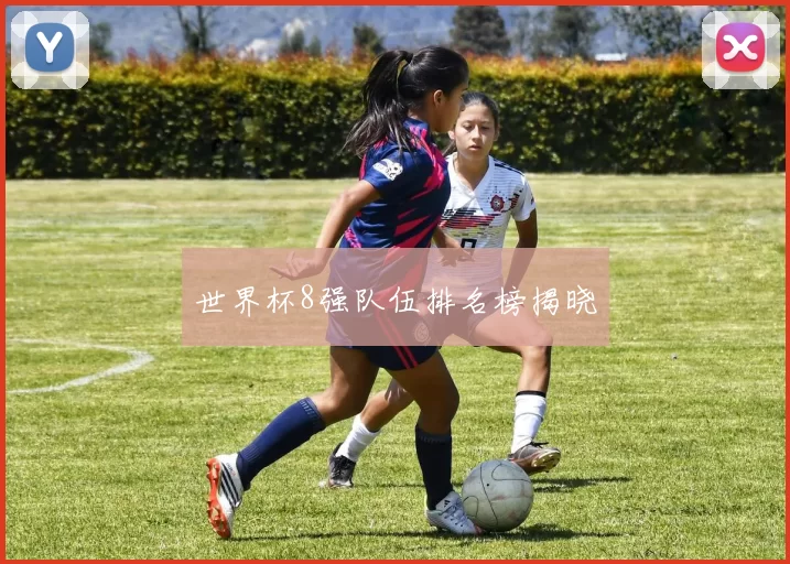 世界杯8强队伍排名榜揭晓
